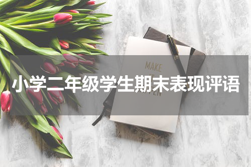 小学二年级学生期末表现评语