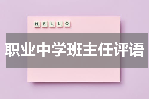 职业中学班主任评语