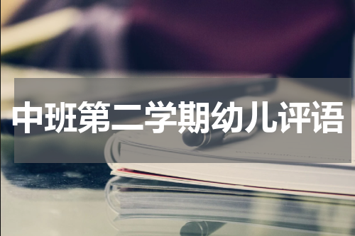 中班第二学期幼儿评语