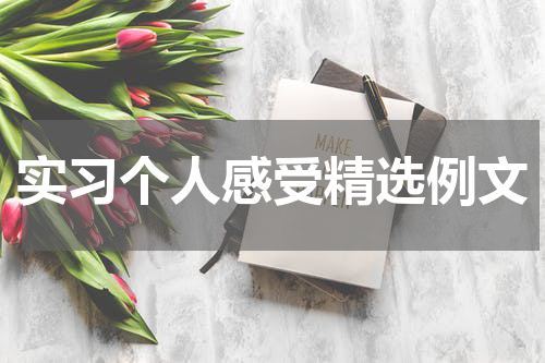 实习个人感受精选例文