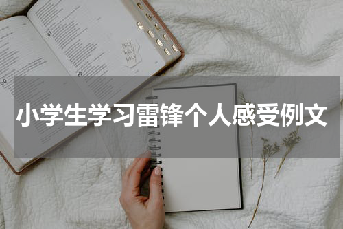 小学生学习雷锋个人感受例文