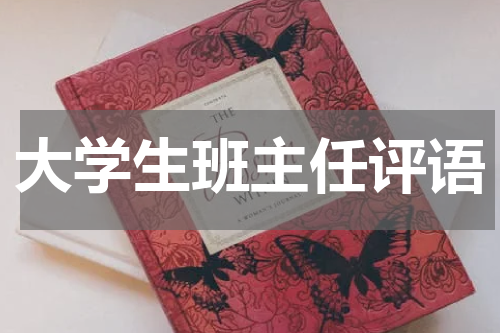 大学生班主任评语