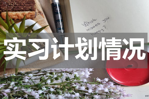 实习计划情况