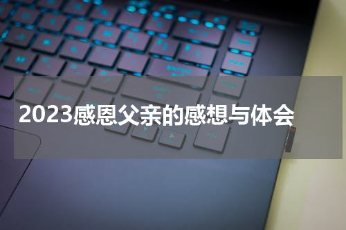 2023感恩父亲的感想与体会