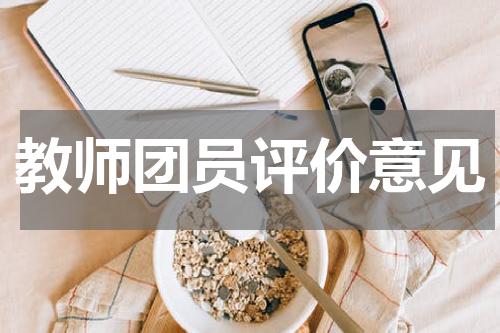 教师团员评价意见