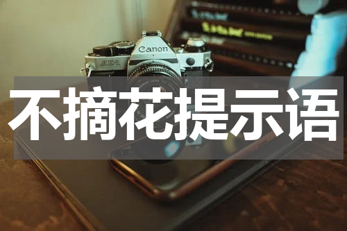 不摘花提示语