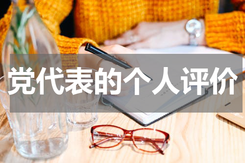 党代表的个人评价