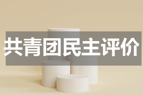 共青团民主评价