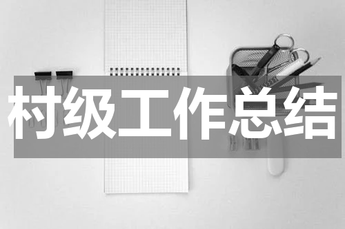 村级工作总结
