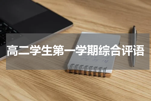 高二学生第一学期综合评语