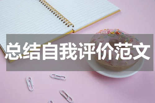 总结自我评价范文