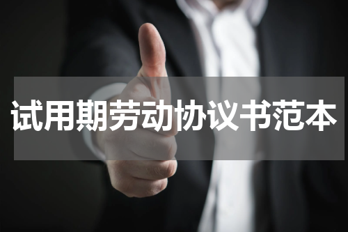 试用期劳动协议书范本