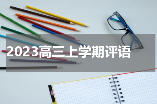 2023高三上学期评语