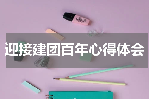 迎接建团百年心得体会