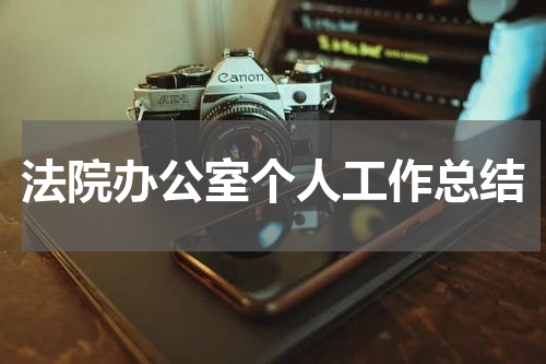 法院办公室个人工作总结