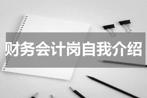 财务会计岗自我介绍