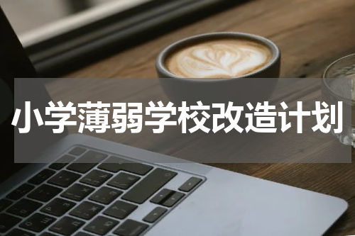小学薄弱学校改造计划