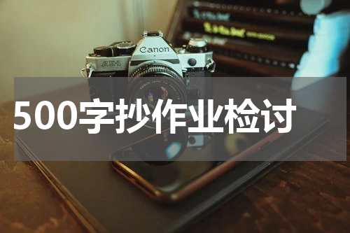 500字抄作业检讨