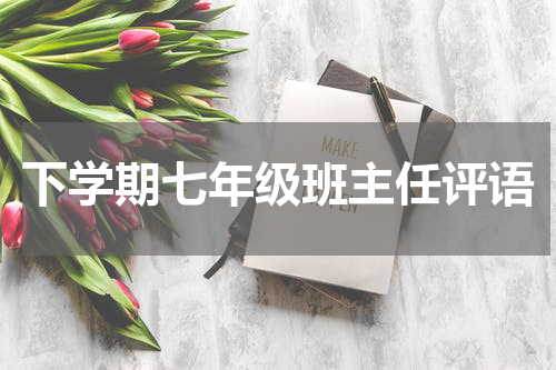 下学期七年级班主任评语