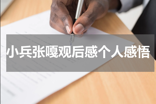 小兵张嘎观后感个人感悟