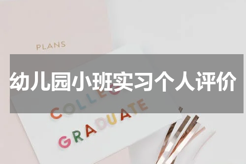 幼儿园小班实习个人评价