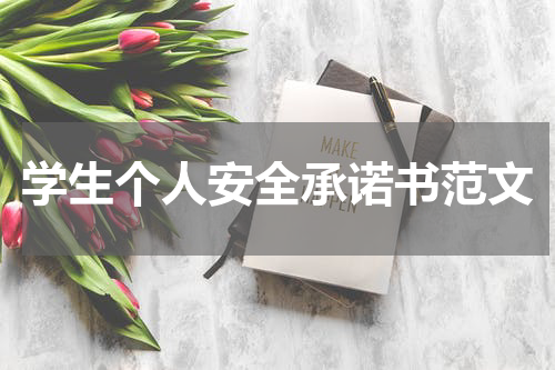 学生个人安全承诺书范文