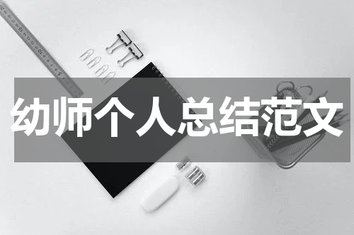 幼师个人总结范文