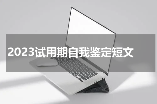 2023试用期自我鉴定短文