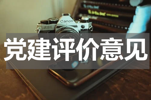 党建评价意见