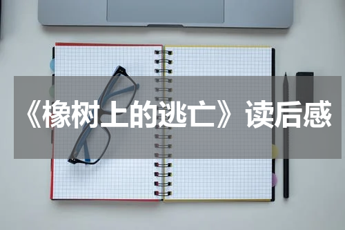 《橡树上的逃亡》读后感