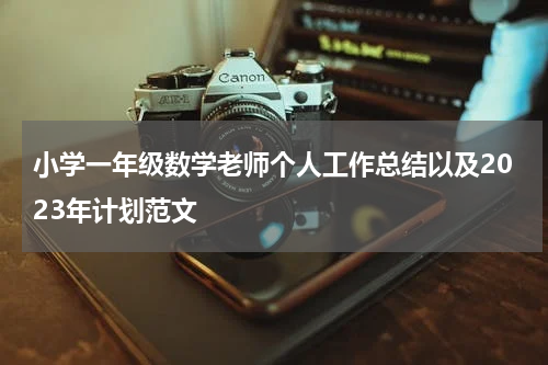 小学一年级数学老师个人工作总结以及2023年计划范文