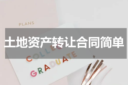土地资产转让合同简单