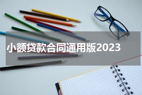 小额贷款合同通用版2023