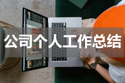 公司个人工作总结