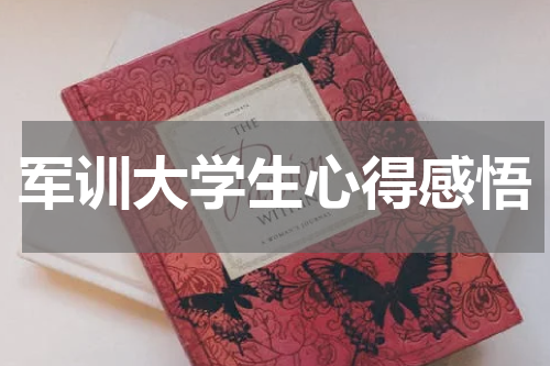 军训大学生心得感悟