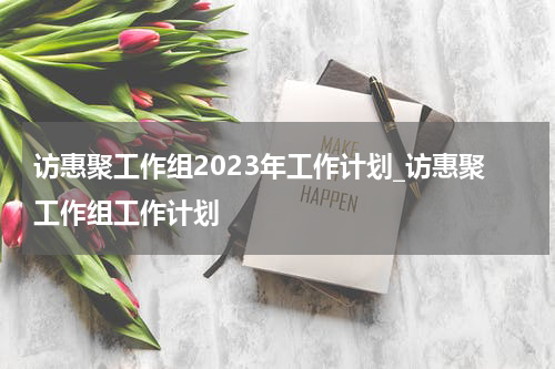 访惠聚工作组2023年工作计划_访惠聚工作组工作计划