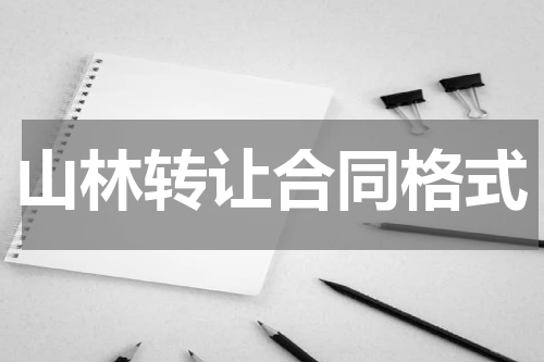 山林转让合同格式