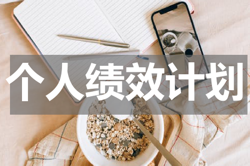个人绩效计划
