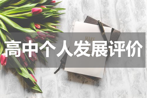 高中个人发展评价