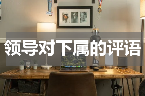 领导对下属的评语