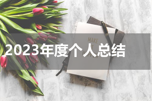 2023年度个人总结