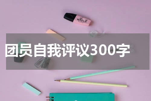 团员自我评议300字