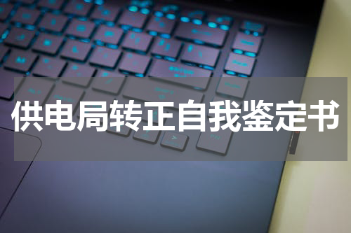供电局转正自我鉴定书