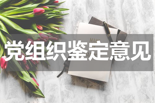 党组织鉴定意见
