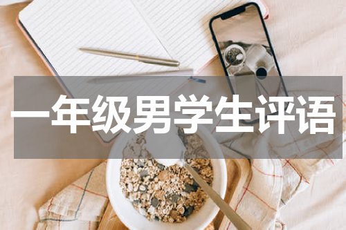 一年级男学生评语