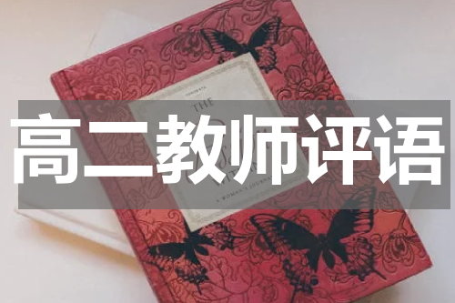 高二教师评语