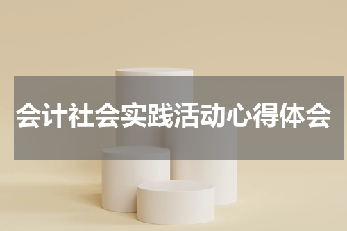 会计社会实践活动心得体会