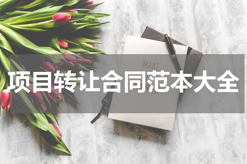 项目转让合同范本大全