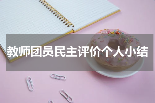 教师团员民主评价个人小结