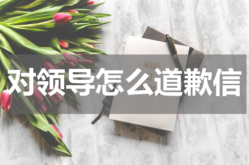 对领导怎么道歉信